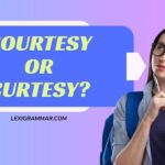 Courtesy or Curtesy